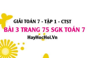 Giải bài 3 trang 75 Toán 7 Tập 1 SGK Chân trời sáng tạo